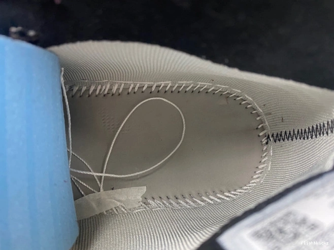 Jordan Gore-Tex Air Element 1 DB2889-500 0724